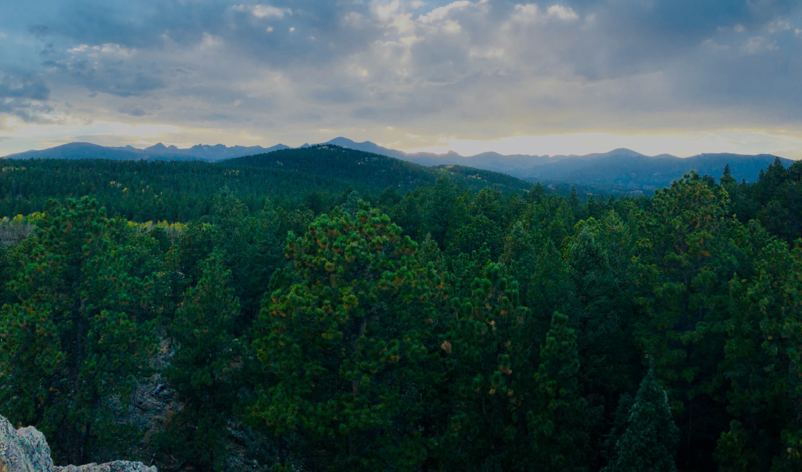 Panoramic view of a dense forest with mountain ranges in the background under a cloudy sky at sunset. Ideal for illustrating the growth and expansive possibilities in financial planning.