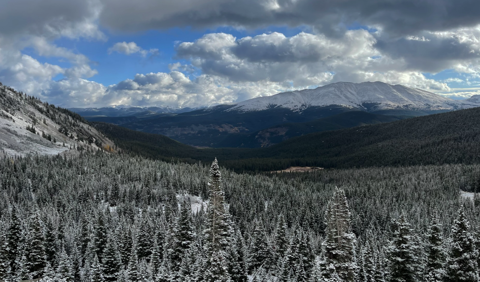 Snow-covered forest stretching into a wide valley with mountain peaks in the distance under a cloudy sky.